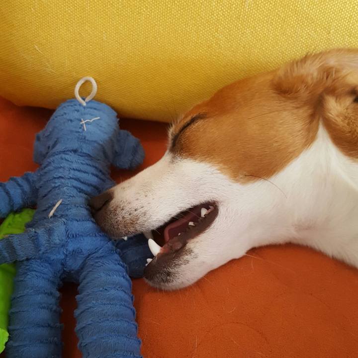 1dd38d7f fb98 4381 9df6 760219600a4a 1559784903240