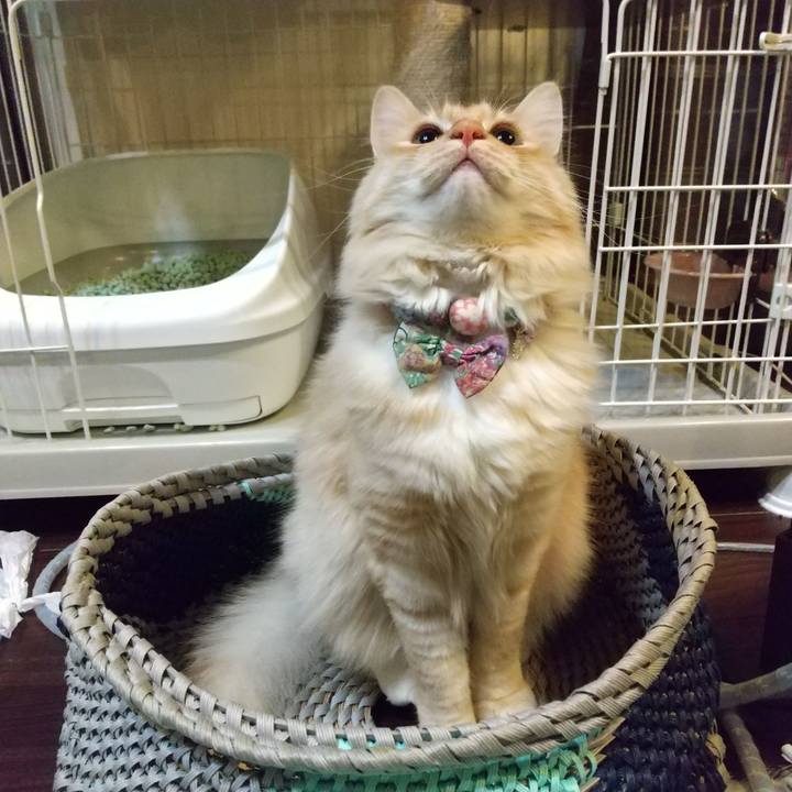 1dd3b894 2497 4a9b b95a 6a20eb001db0 1642597011291