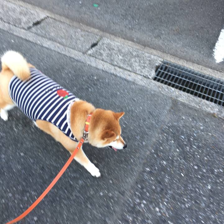 1dd3c202 0a50 4d44 9701 5ea7311959a4 1565309187998