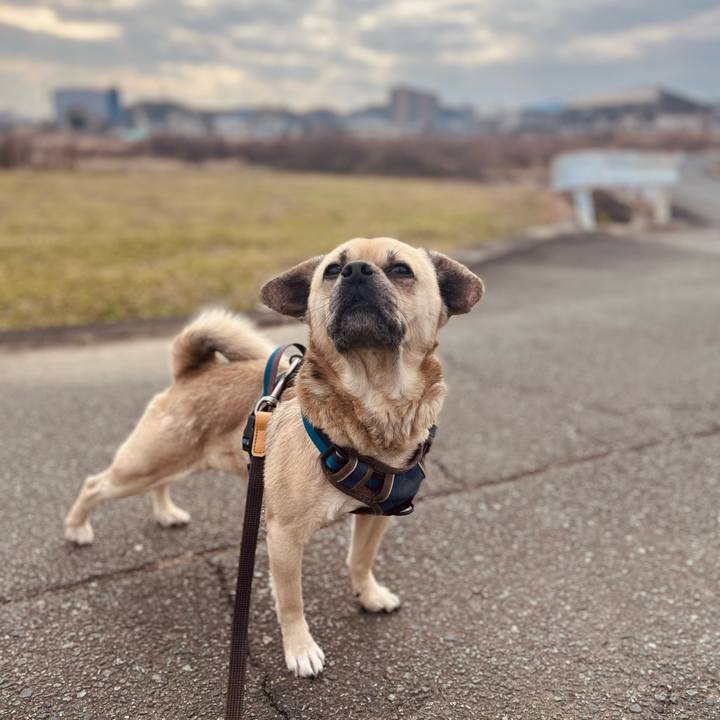 1dd3dc3a 9f11 4f76 8692 59c725bb0c18 1767504497652