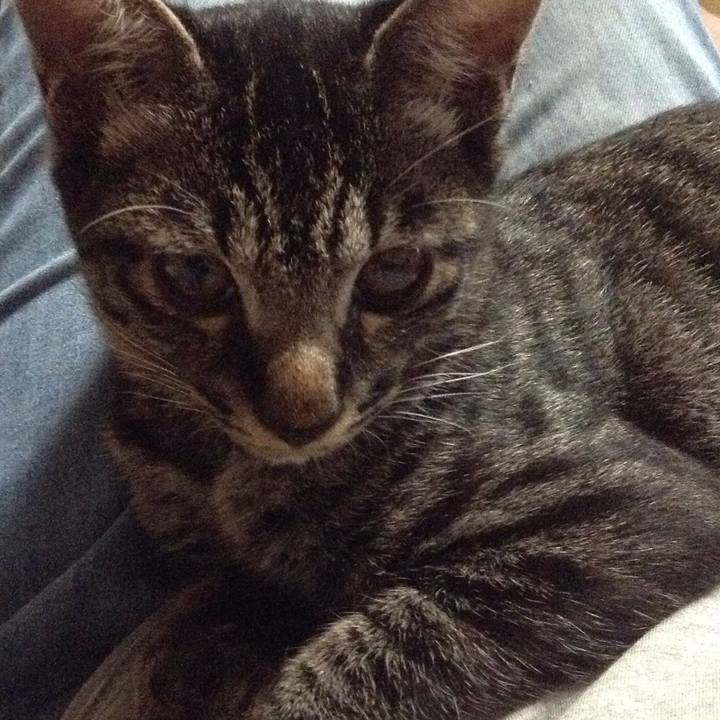 1dd3dd95 48a9 4032 b449 02c551b40c28 1533813564762