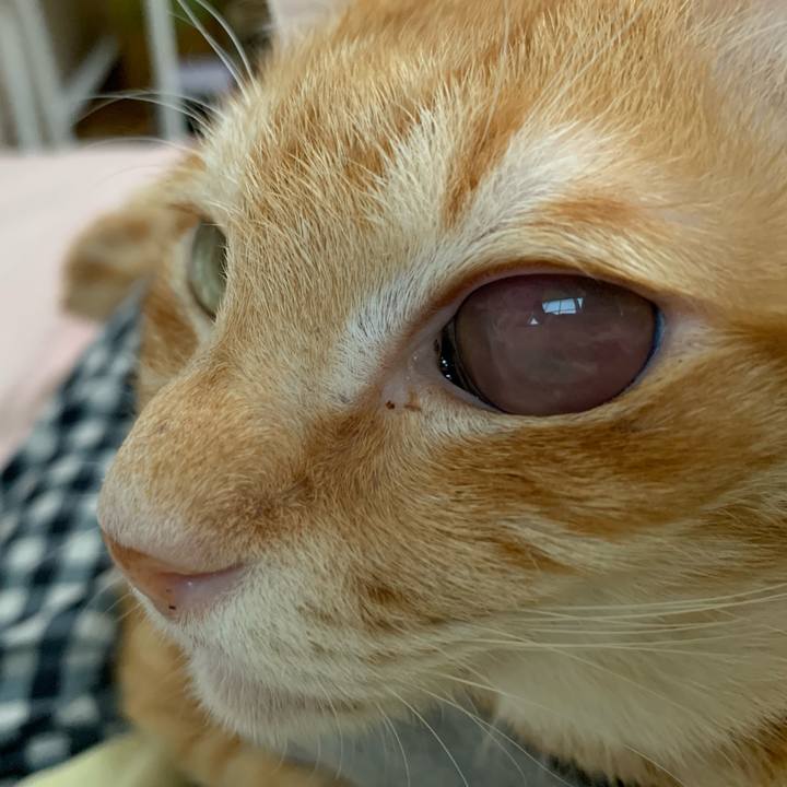 1dd3e7e0 b8ea 413c 89bb dc54a9d56479 1606055676644