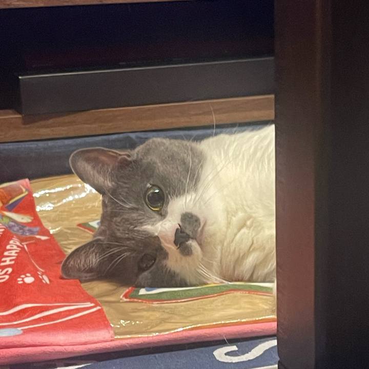 1dd3ea27 c649 40a2 a5d7 0f983558afe0 1696506197863