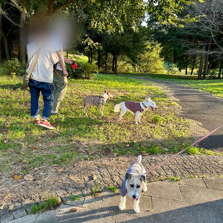 1dd3efd1 a927 4bf4 8675 b068f085d44d 1697675637768