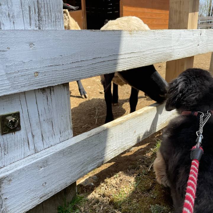 1dd41f5f 645d 4ae7 ab6b 4356be1bf950 1620186228623