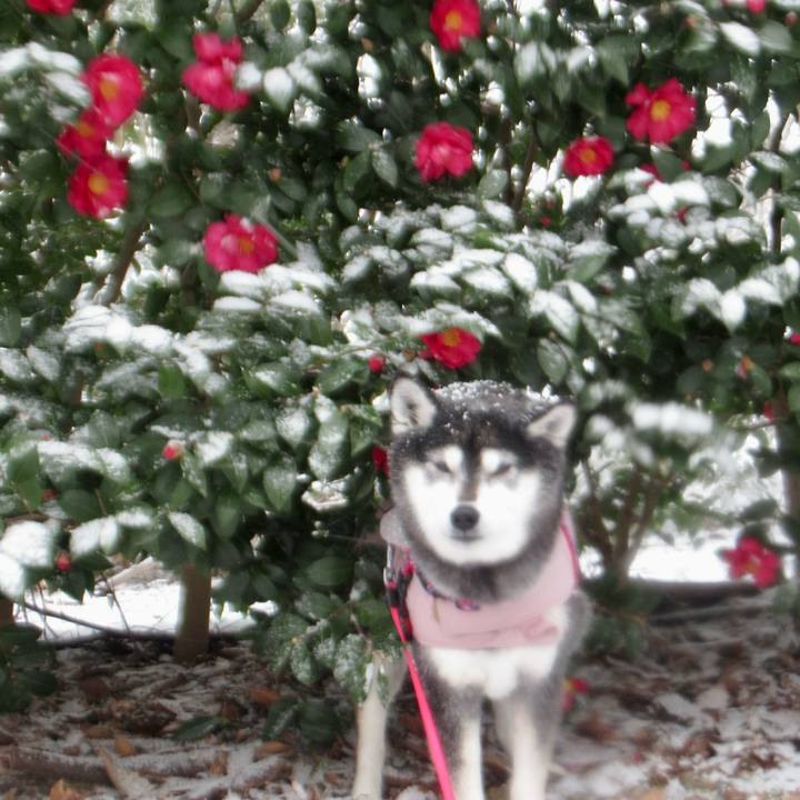 1dd48672 9982 4cc2 9928 d1fc8b202445 1740534540575