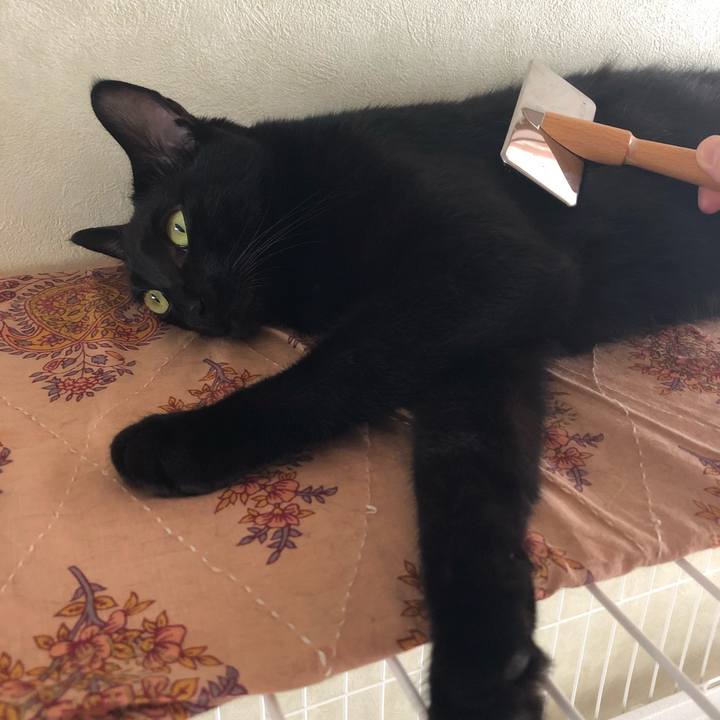 1dd4b2a5 c4b0 4fb1 acac b70951e920e8 1537766601243