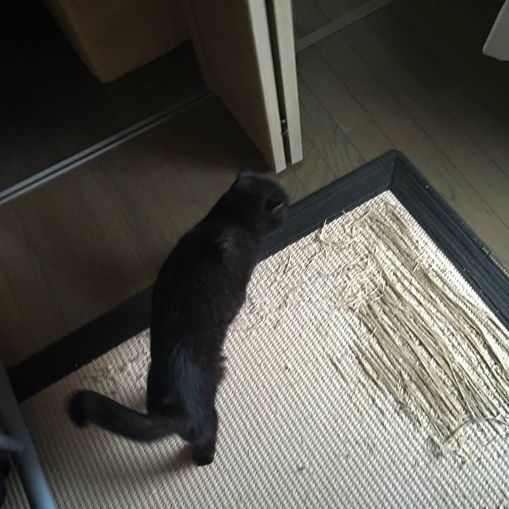 1dd4cf15 ce53 4d1b bddd 9bf47ec1a1ef 1523947400338