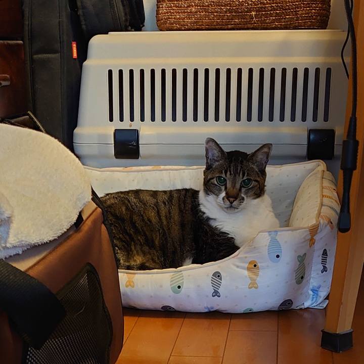 1dd51de6 960d 411a ac33 eada82b9171d 1735946769824