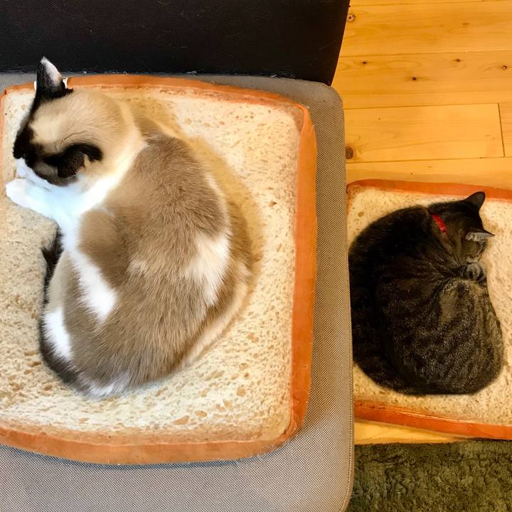 1dd54b44 2b56 4d97 b378 e21211d1db19 1585830548508