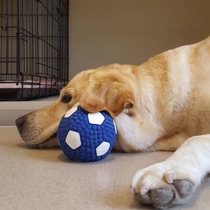 1dd55981 ee8f 4024 8dbc feb177cd6df5 1535508713611