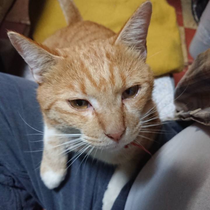 1dd55a62 2c5b 4e92 9095 c75bc490dd02 1570014588670