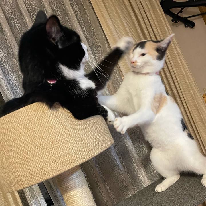 1dd56841 ca14 4152 9f36 305fb21e368f 1670159087577