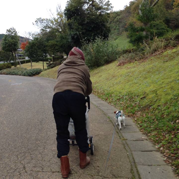 1dd56f4c 0e8c 456c 84d0 de8ee41133ef 1511336520557