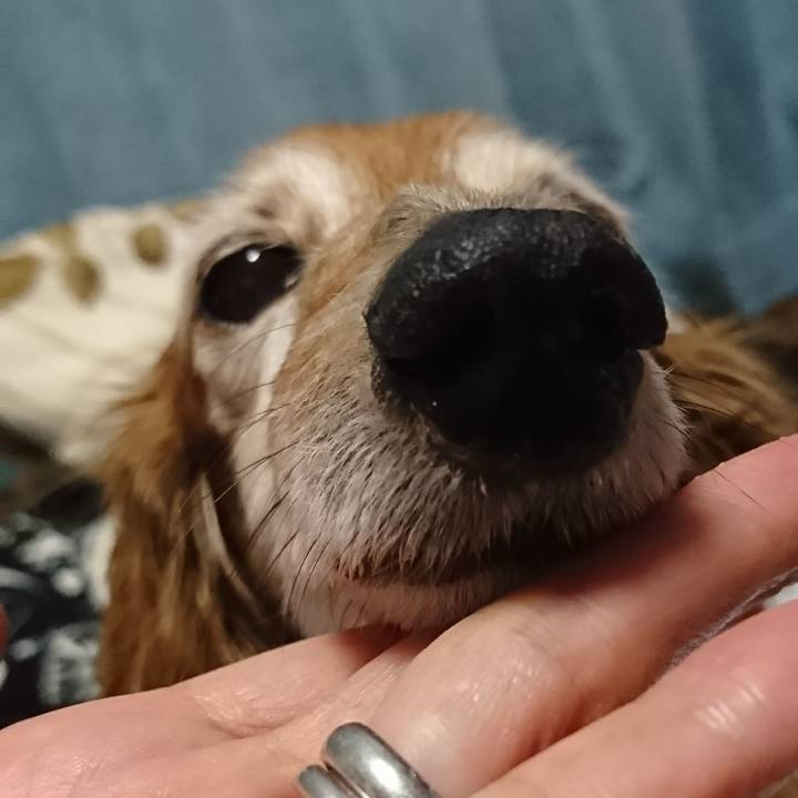 1dd56f6c 9762 4f43 a227 1c54ace7780d 1519384806544