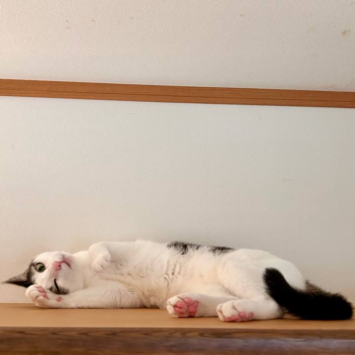 1dd5a05e 3d47 40b9 b689 0e1bfd787cb6 1751751587703