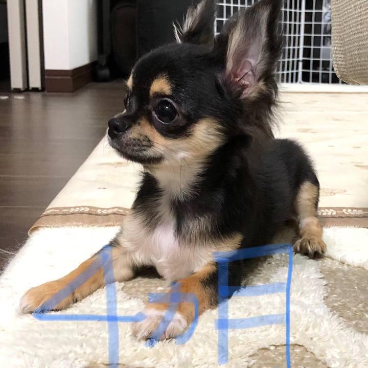 1dd5ada5 f9e2 4e2c 8741 71684c1424ac 1539088518232