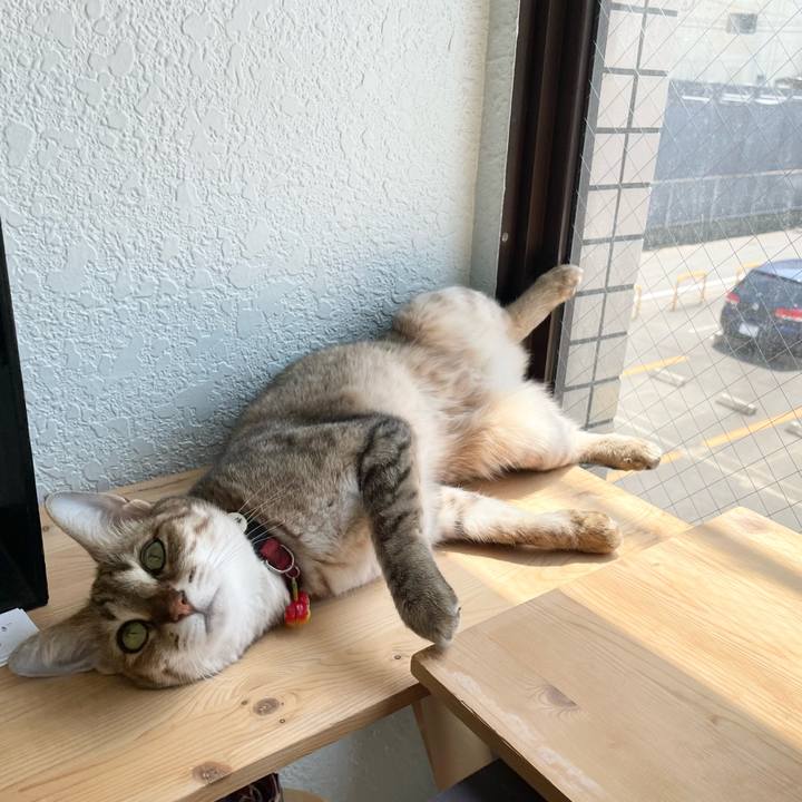 1dd5cb21 ddeb 4484 a232 2fb33882d333 1683771328264