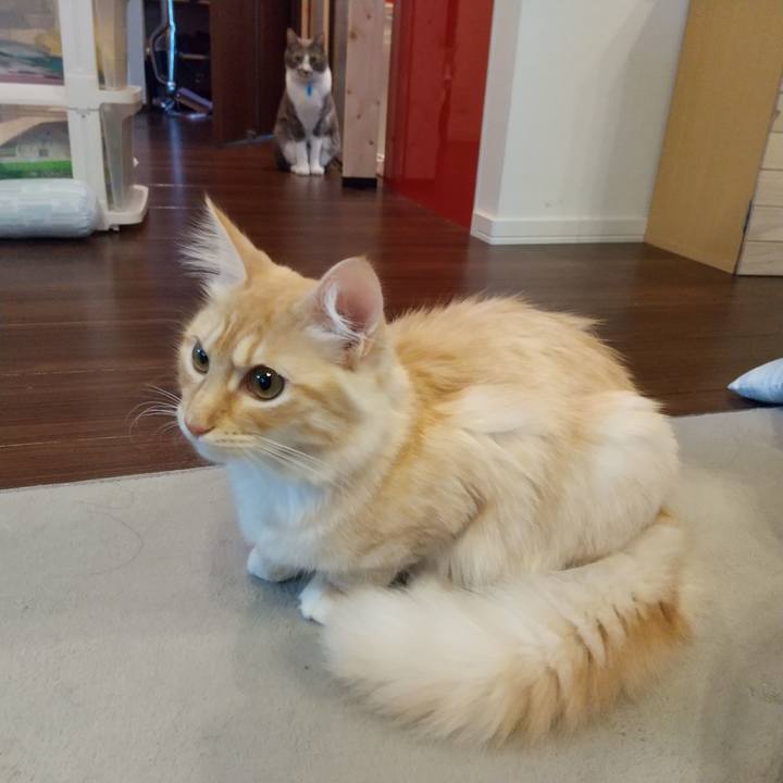 1dd5e42f 02d8 4712 a055 e7be04494c1d 1615845584616