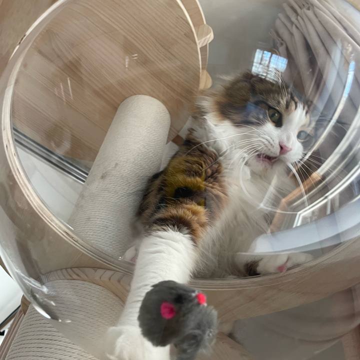 1dd61c48 e368 43f4 9675 75e076676350 1652736305062