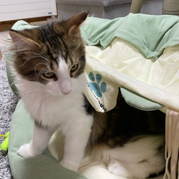 1dd6390e d5fd 4046 9d21 639346457c7f 1636461723508