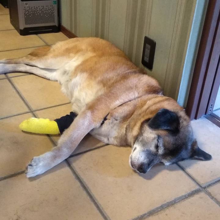 1dd70658 cf97 4b27 8f00 d4674498fd3b 1559717411225