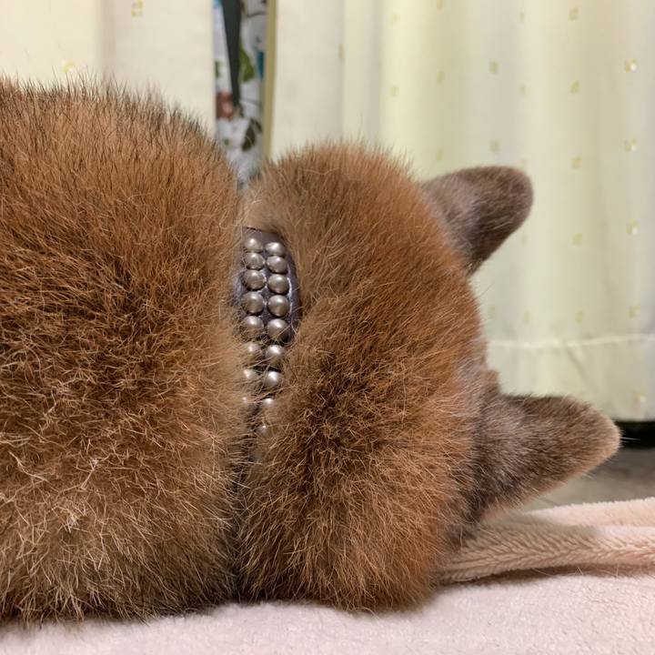 1dd72205 da8c 46a2 97f6 44bda34946ce 1599831186273