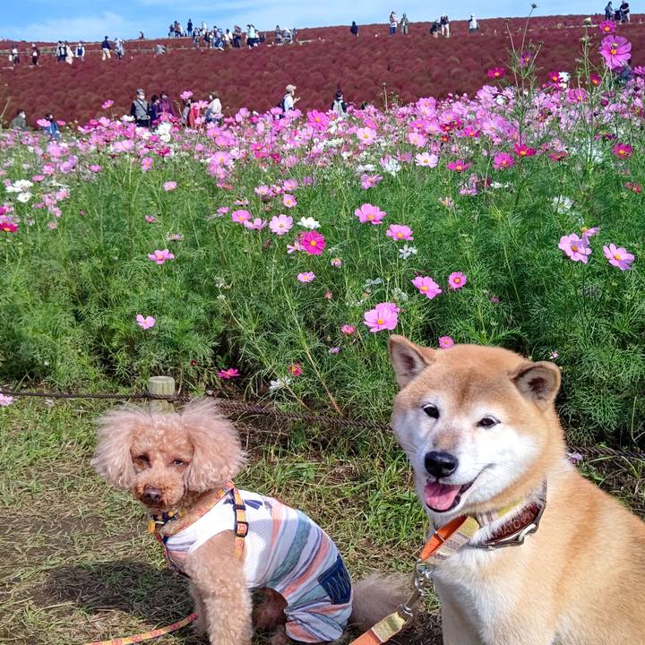 1dd75d97 dcd4 4f2d 8bdb 0d219dadb0e9 1603176709799