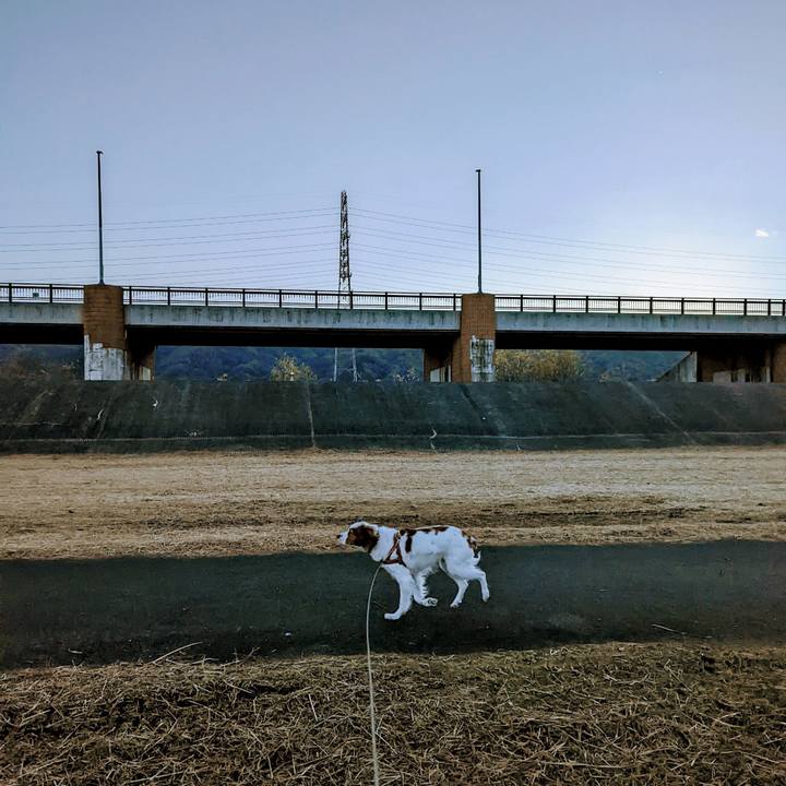 1dd784c0 4c99 467a a801 54b839e9b0f5 1640568948498