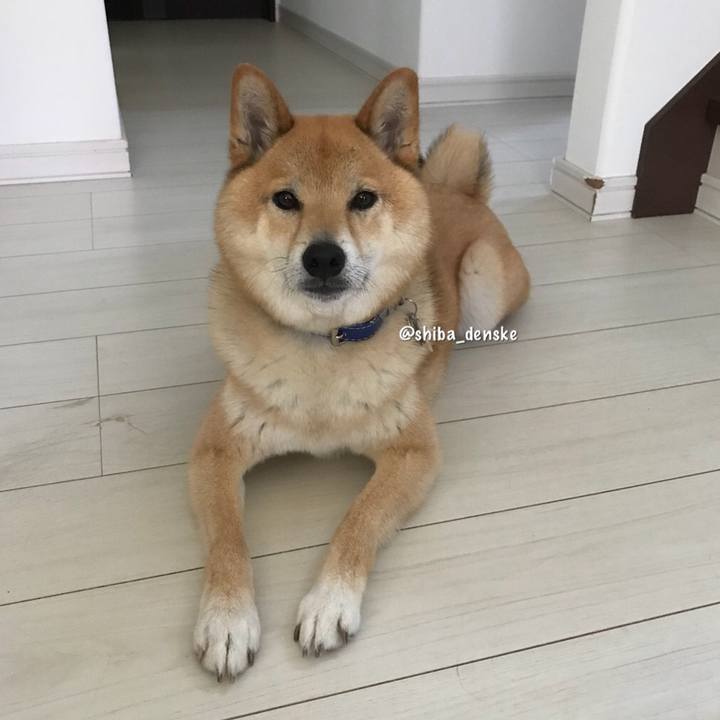 1dd7cb37 f36e 43bd 83ec a441712633cb 1529280800252