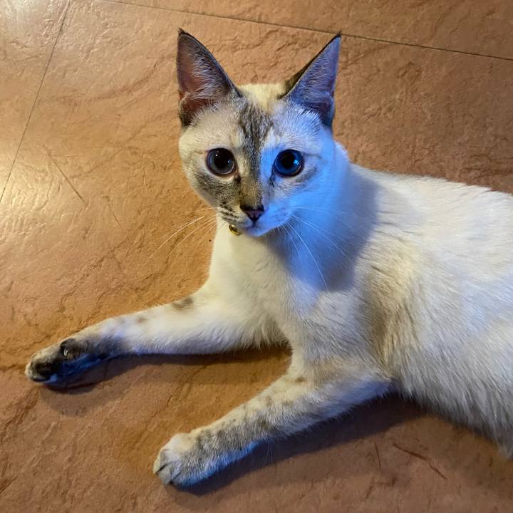 1dd7d847 9148 4d8a 9182 4cd9c8ba572a 1660136385299