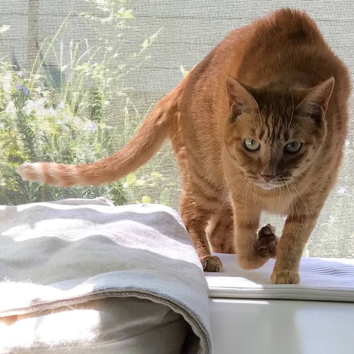 1dd7da89 625a 4245 a18d ee3fe73661a9 1596957994250