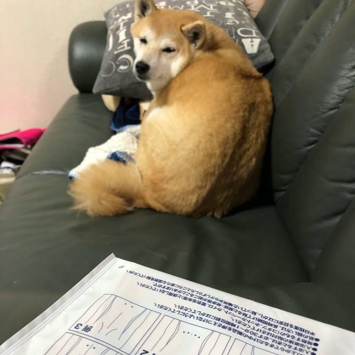 1dd83536 b45e 4a06 ba82 63bcedecdd1d 1604304470247