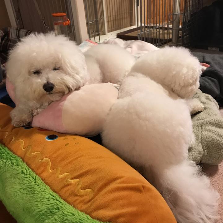 1dd8377d 38a6 45e6 898e 4a370f5b03c1 1552558214030