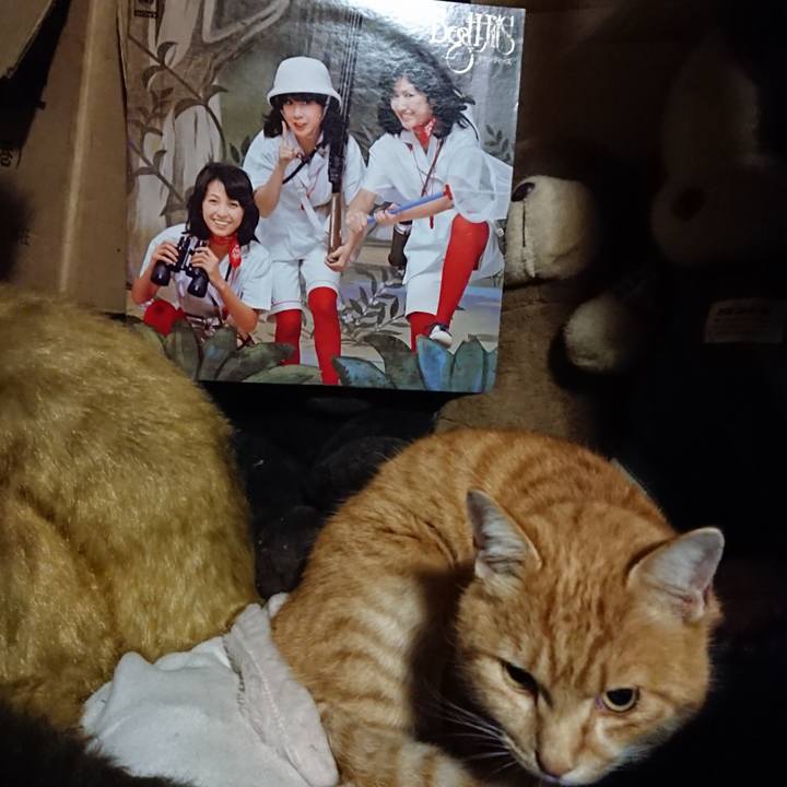 1dd8cba5 80bf 403c a029 b0b0c65f0a6a 1604743807002