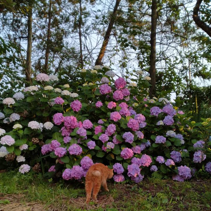 1dd8d988 0f52 4c27 8289 98e7dc73492d 1719958259468