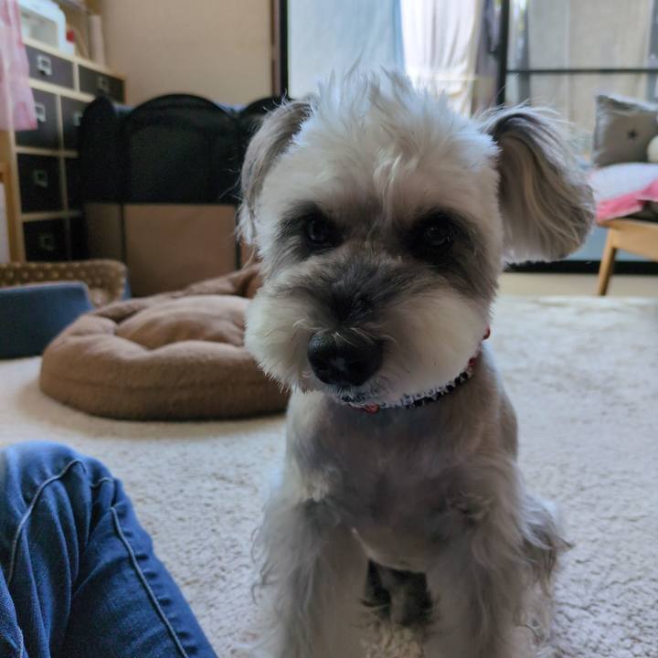 1dd912d2 b53d 44c7 808d 5c56c944d8d5 1755658648344