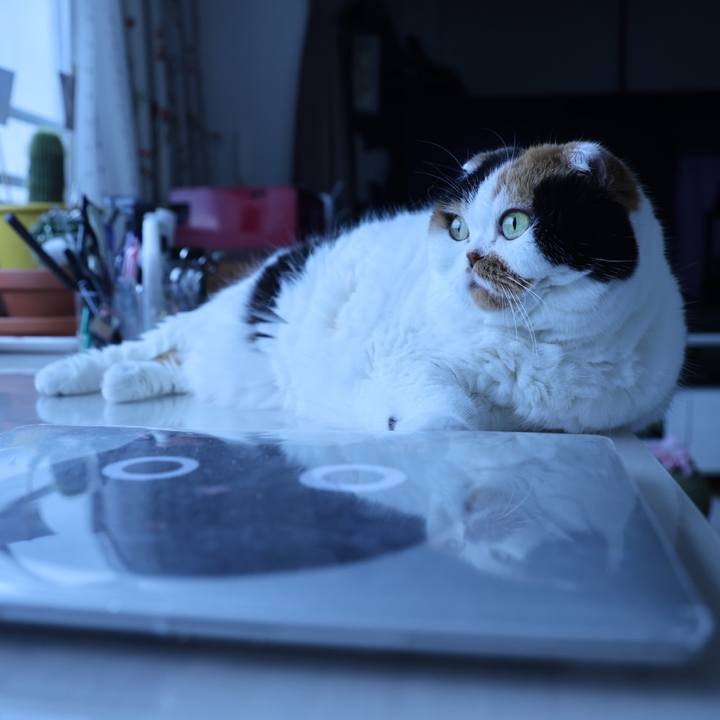 1dd91e21 8a70 4efd be7f 50500dfde0b9 1690874281852