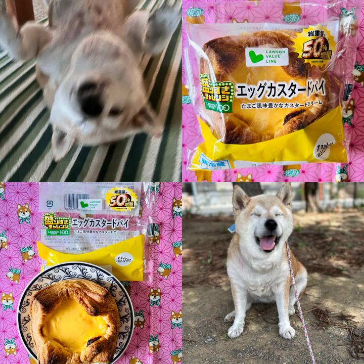 1dd92012 5b06 4756 9844 de16dd4518a0 1750654897227