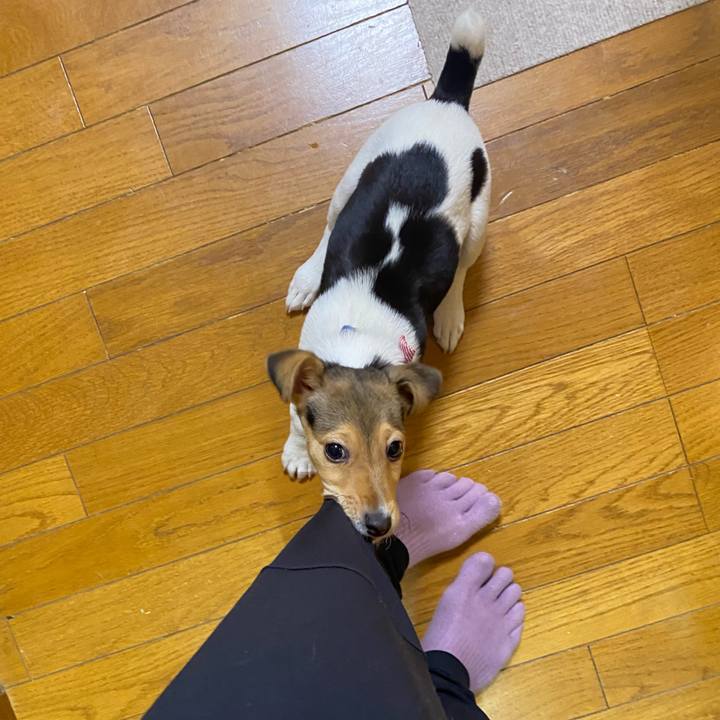 1dd937ee 4469 4cca b784 710b13a85ff4 1744289440010