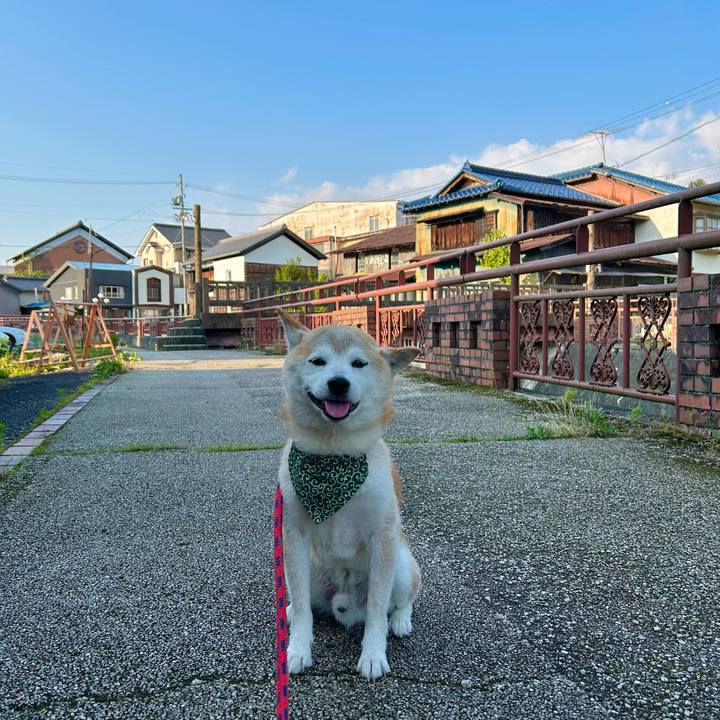 1dd96dcd 65b5 4d99 a82a eee84bc25e37 1751197220346