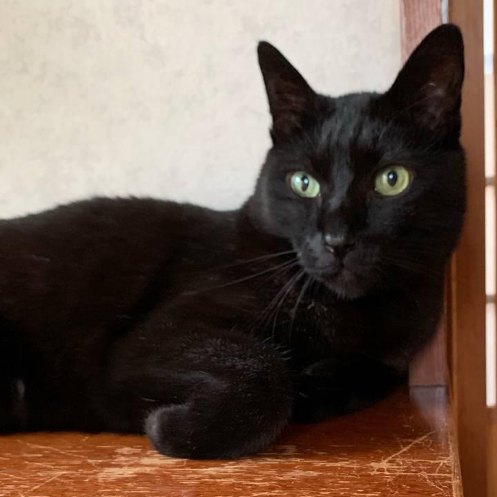 1dd97ac9 1435 4465 914e 686930cf67d7 1556933883620