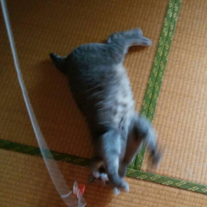 1dd9bcb1 d649 487c aa4b 4b4be44d7daa 1596336629463