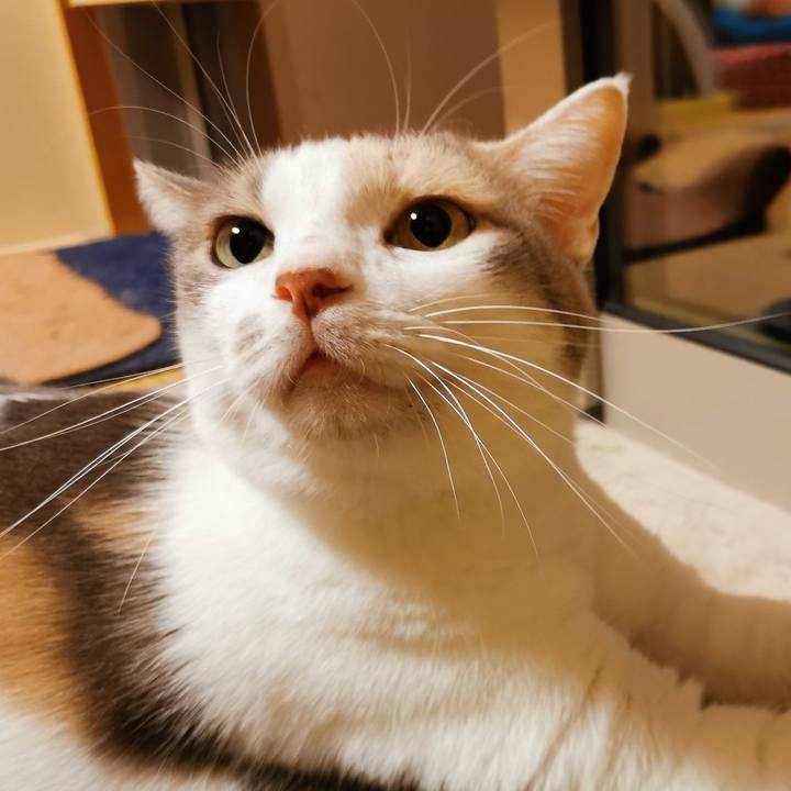 1dd9eb37 587f 41e6 be55 a47035db6983 1660880774169