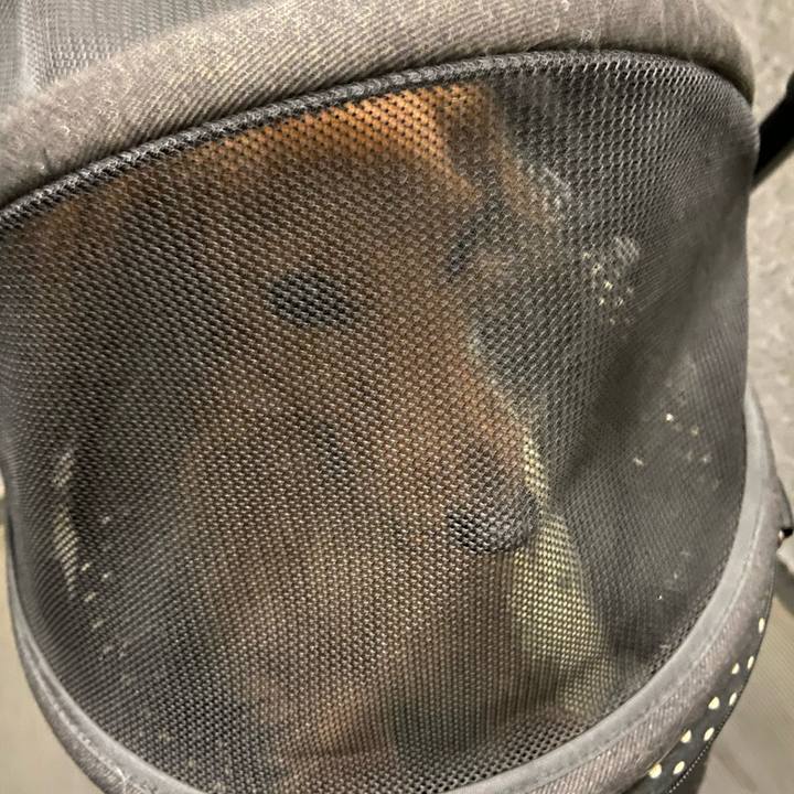 1dda0b65 89c3 40d9 b377 6ce97a76a042 1643154232551