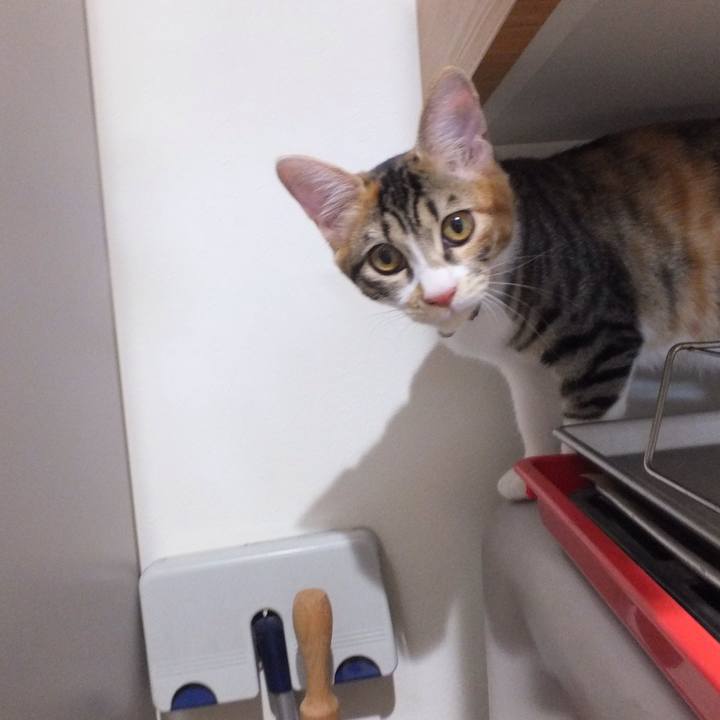 1dda7092 dd7a 4fa1 b4c6 268557ea00a0 1631597641979