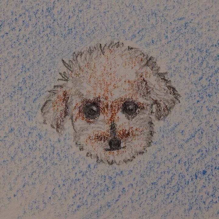 1ddaa3bd bfa8 4889 95ef 9fc6868bad30 1664118031586