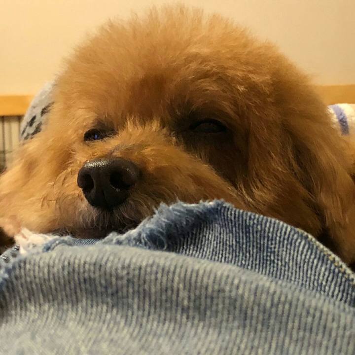 1ddac557 9eb3 4f6a b728 2340dff16929 1526617937346