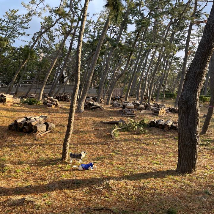 1ddb0047 9184 4c12 8c4d 5921c0047bcb 1672876984526