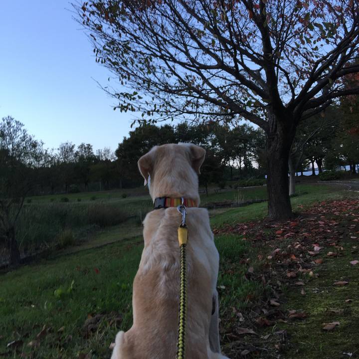 1ddb0ba7 f2a2 4ce2 9cee 856e8ff4dd1d 1720574774559